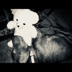 Meet your Posher, Jaclynn